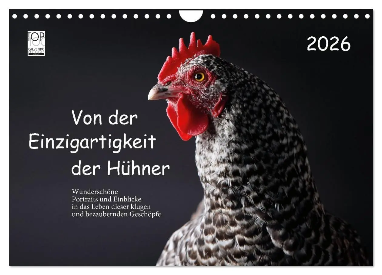 Cover: 9783516691719 | Von der Einzigartigkeit der Hühner 2026 (Wandkalender 2026 DIN A4...