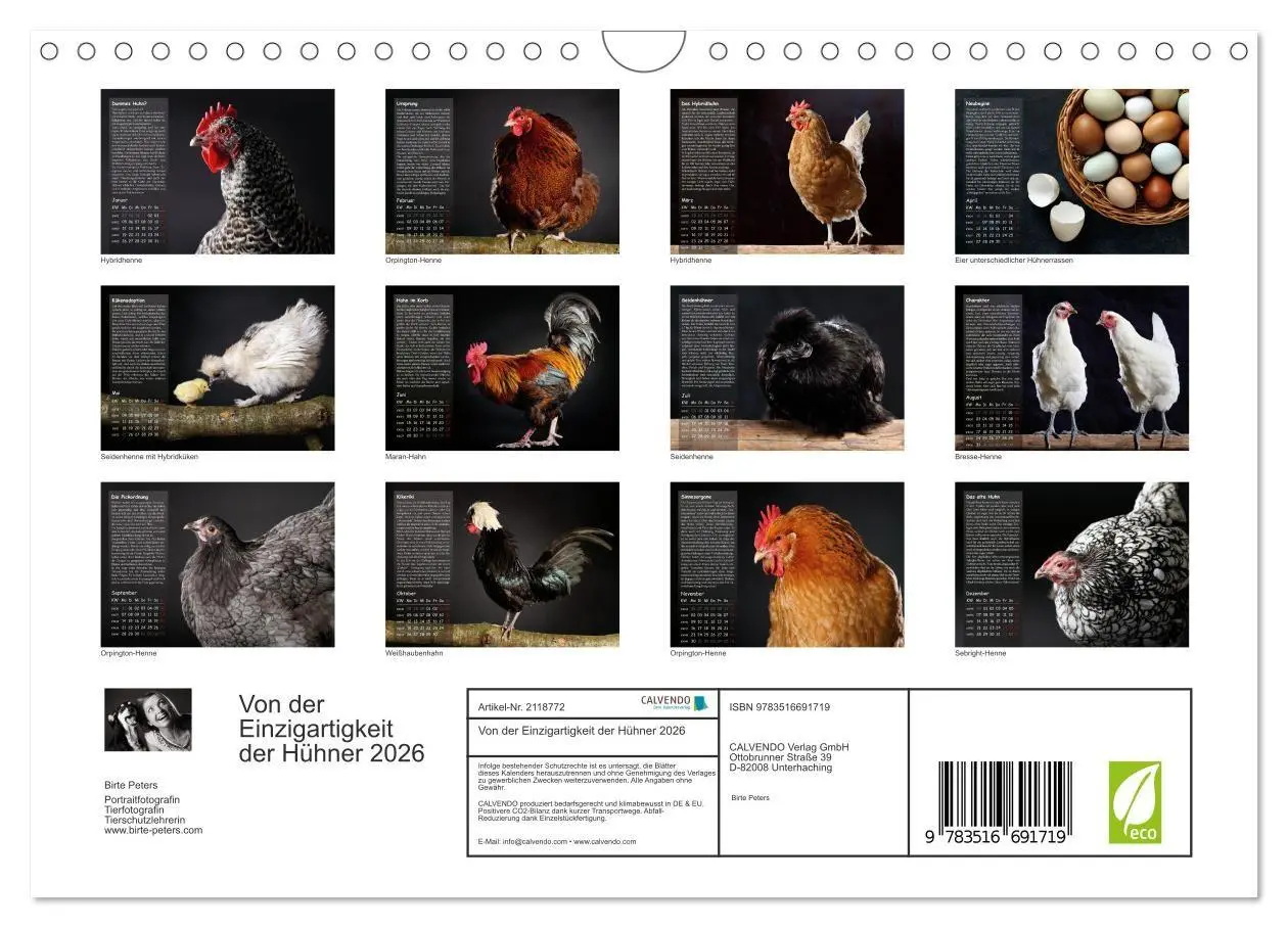 Bild: 9783516691719 | Von der Einzigartigkeit der Hühner 2026 (Wandkalender 2026 DIN A4...