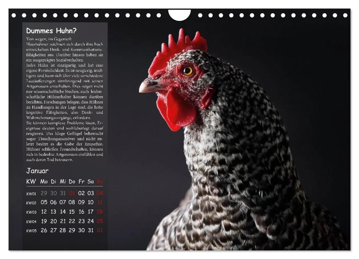 Bild: 9783516691719 | Von der Einzigartigkeit der Hühner 2026 (Wandkalender 2026 DIN A4...