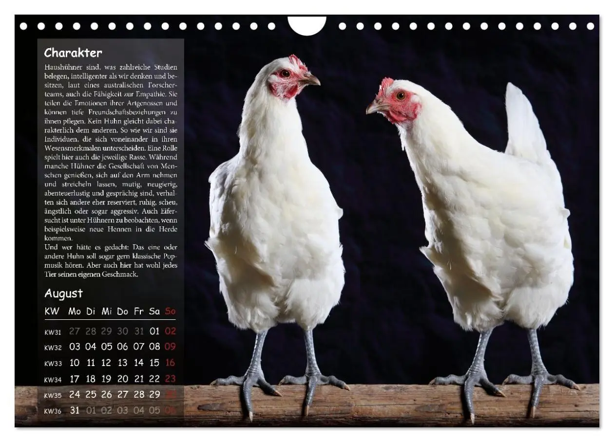 Bild: 9783516691719 | Von der Einzigartigkeit der Hühner 2026 (Wandkalender 2026 DIN A4...