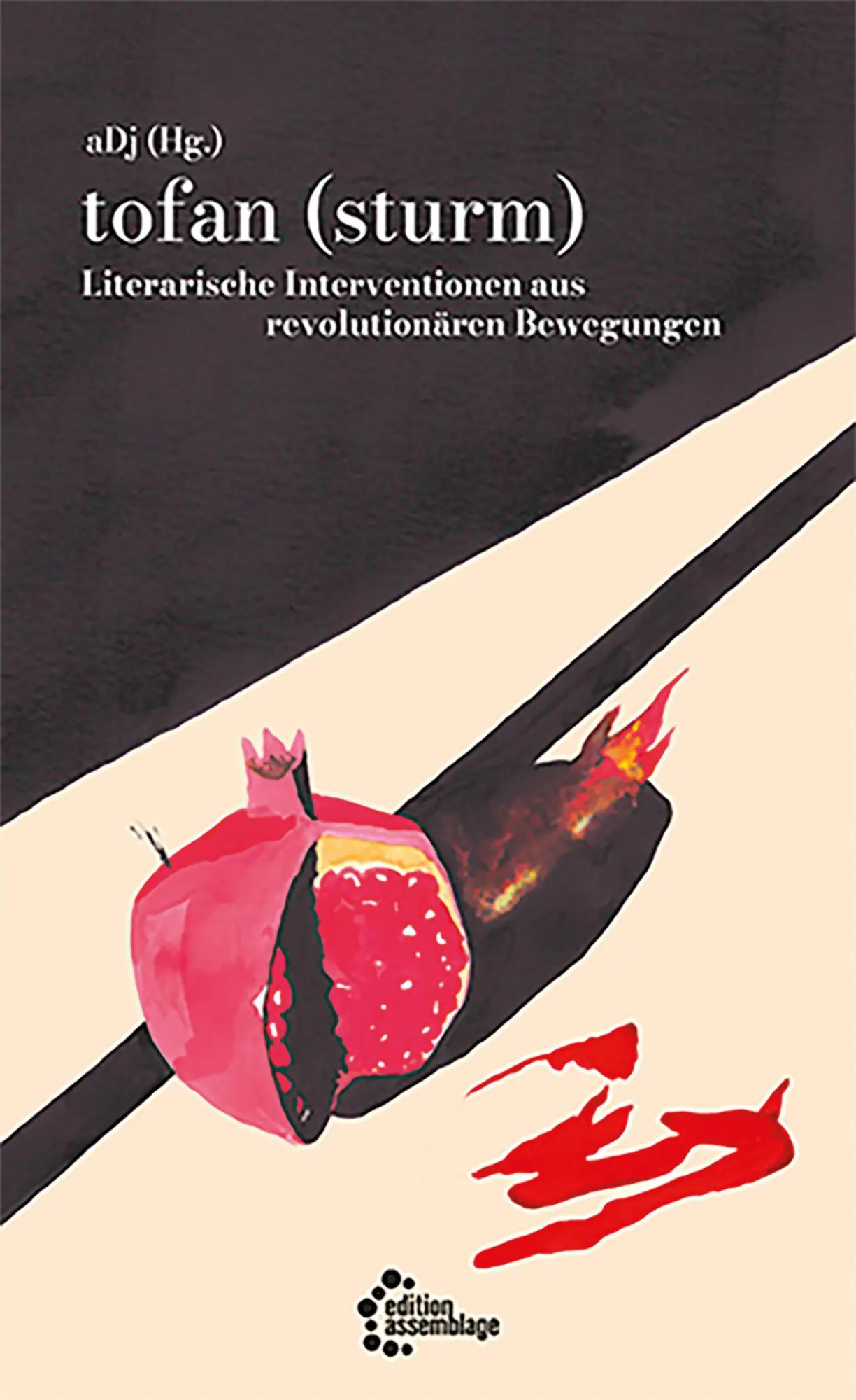 Cover: 9783960421719 | tofan (sturm) | aDj | Taschenbuch | 100 S. | Deutsch | 2023