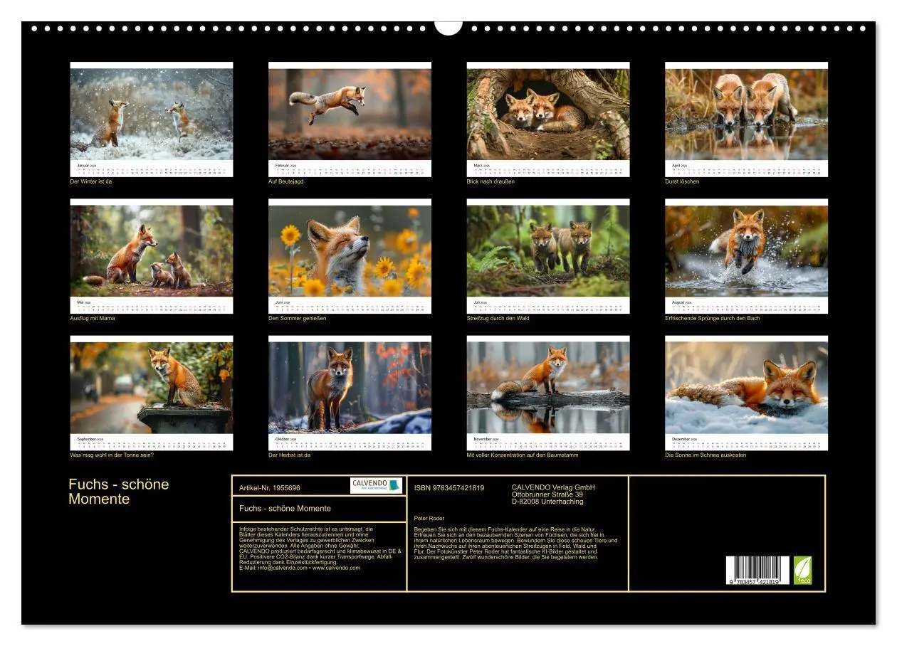 Bild: 9783457421819 | Fuchs - schöne Momente (Wandkalender 2026 DIN A2 quer), CALVENDO...