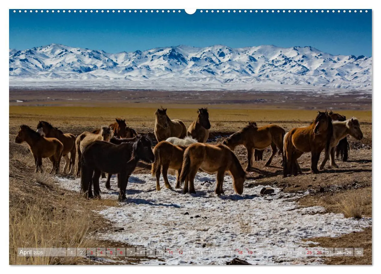Bild: 9783457731819 | Mongolei - imposantes Land (hochwertiger Premium Wandkalender 2026...