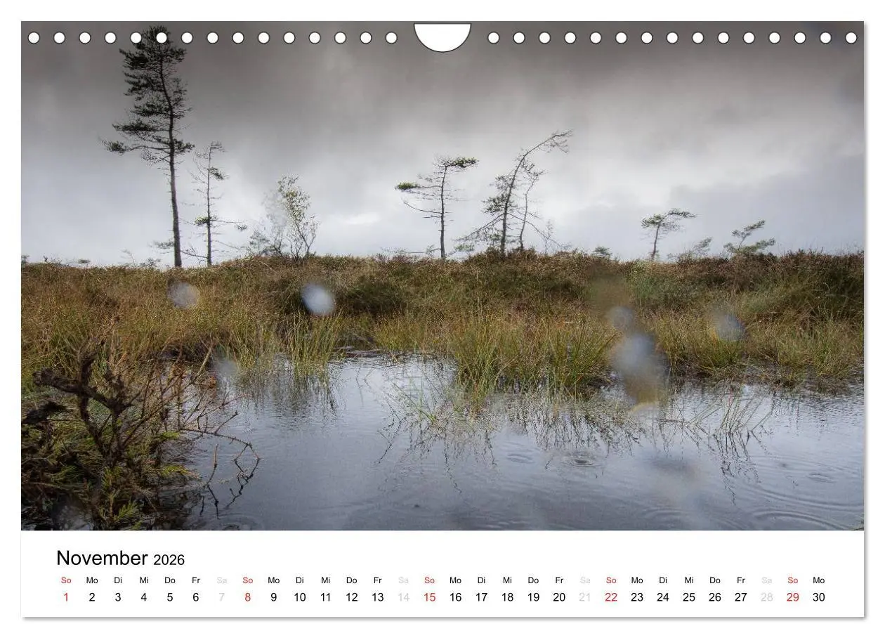 Bild: 9783457971819 | Naturerlebnis im Biosphärenreservat Rhön (Wandkalender 2026 DIN A4...
