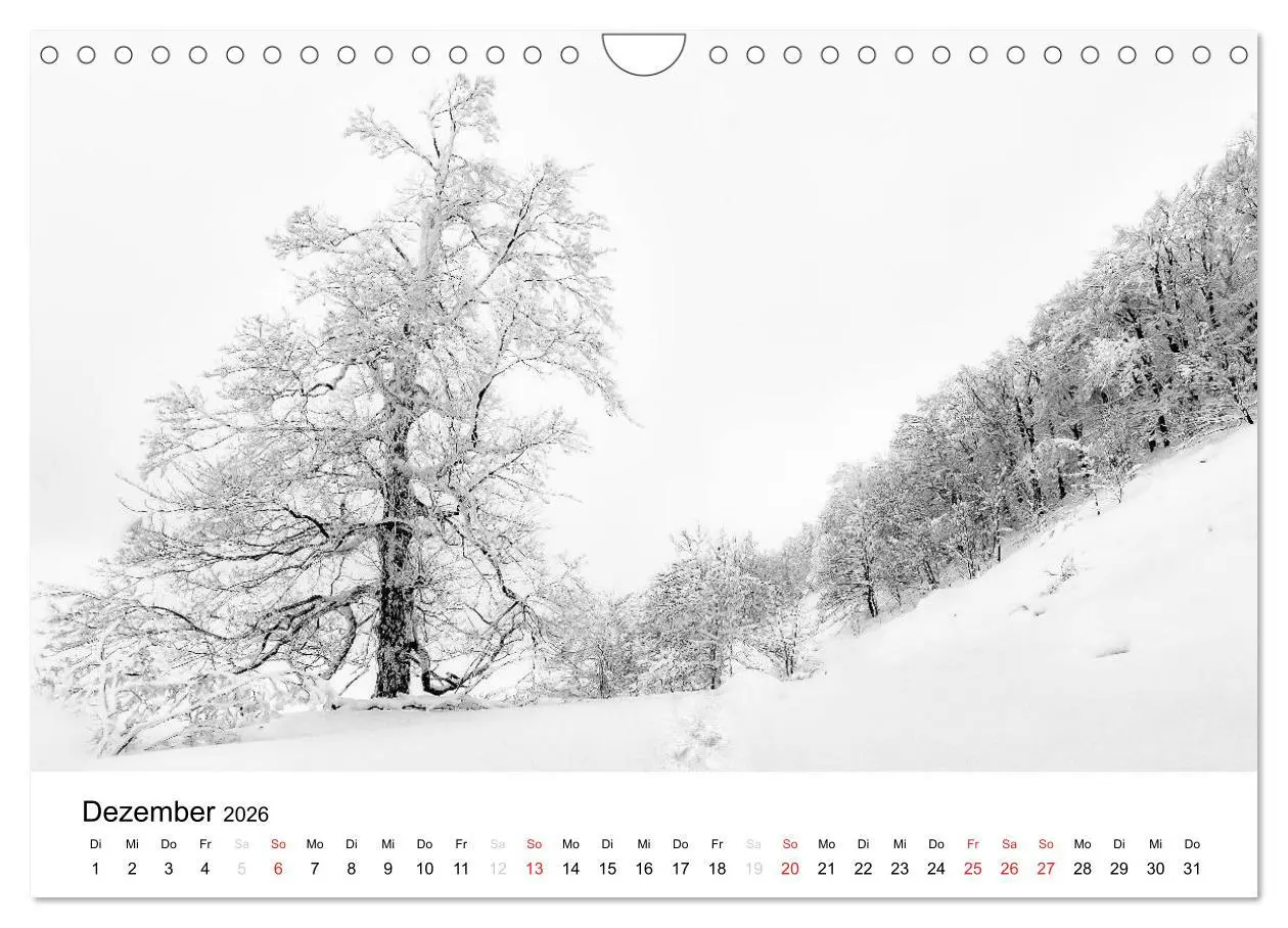 Bild: 9783457971819 | Naturerlebnis im Biosphärenreservat Rhön (Wandkalender 2026 DIN A4...