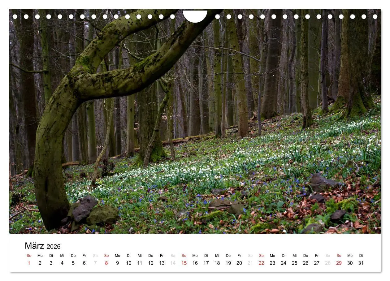 Bild: 9783457971819 | Naturerlebnis im Biosphärenreservat Rhön (Wandkalender 2026 DIN A4...
