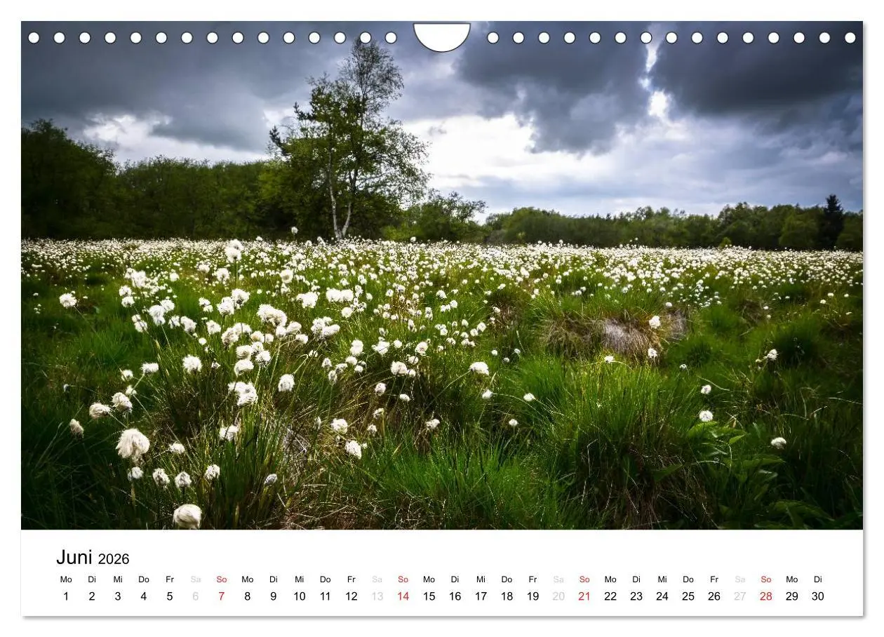 Bild: 9783457971819 | Naturerlebnis im Biosphärenreservat Rhön (Wandkalender 2026 DIN A4...