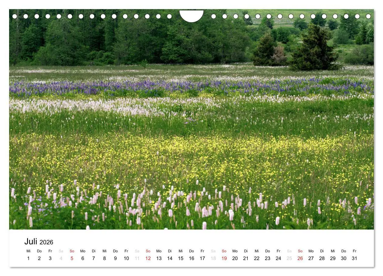 Bild: 9783457971819 | Naturerlebnis im Biosphärenreservat Rhön (Wandkalender 2026 DIN A4...