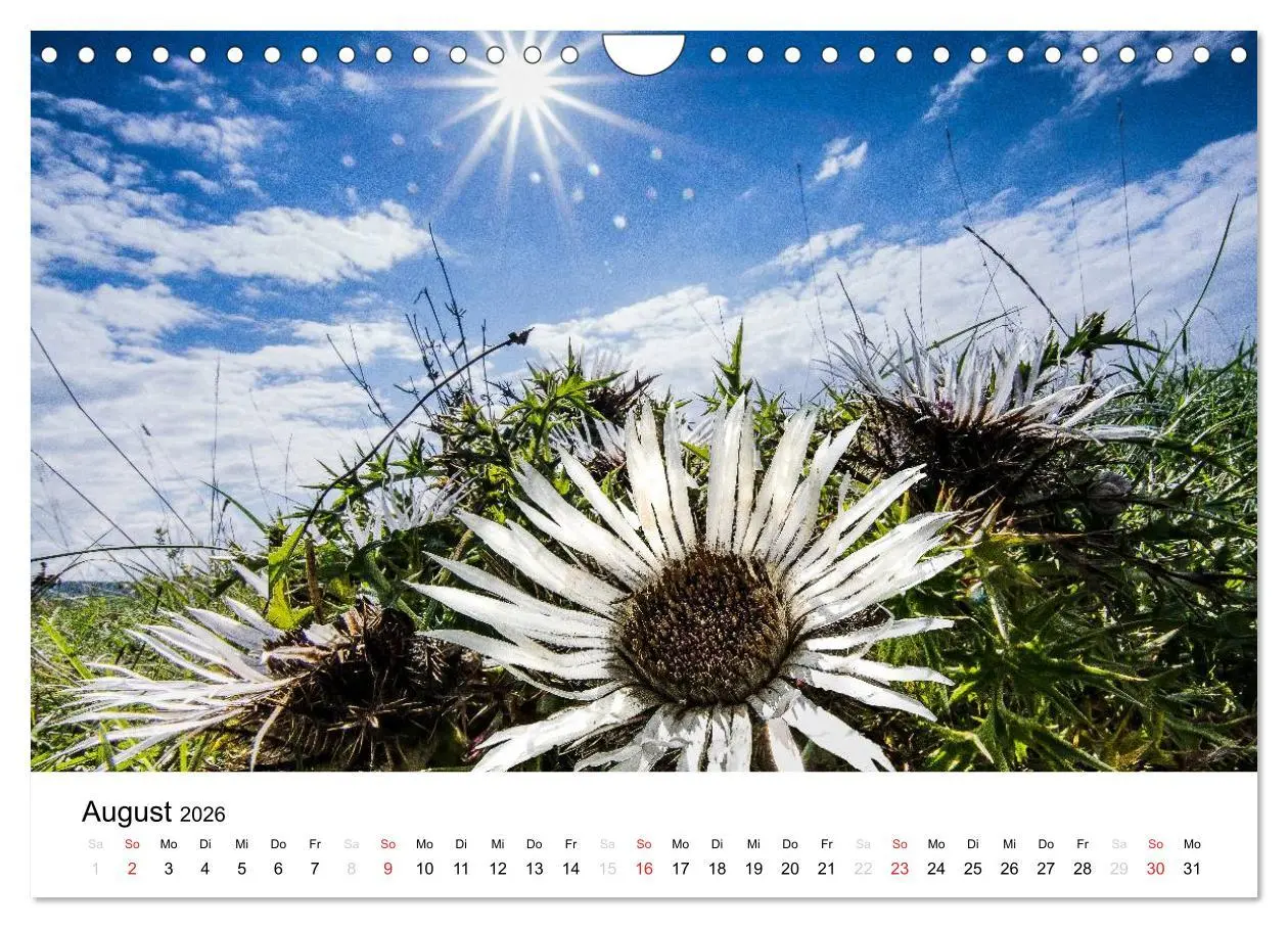 Bild: 9783457971819 | Naturerlebnis im Biosphärenreservat Rhön (Wandkalender 2026 DIN A4...