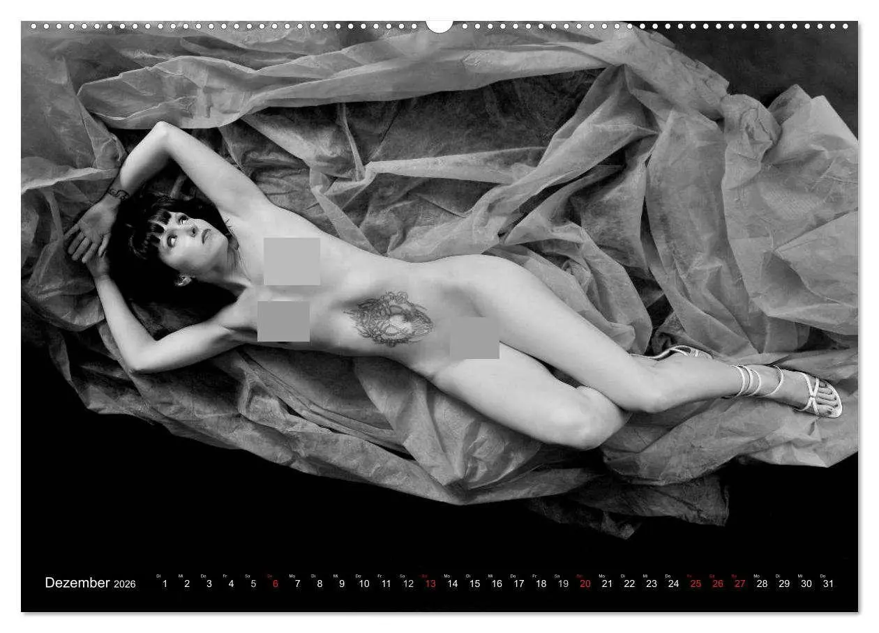 Bild: 9783516061819 | Akt Studien (hochwertiger Premium Wandkalender 2026 DIN A2 quer),...