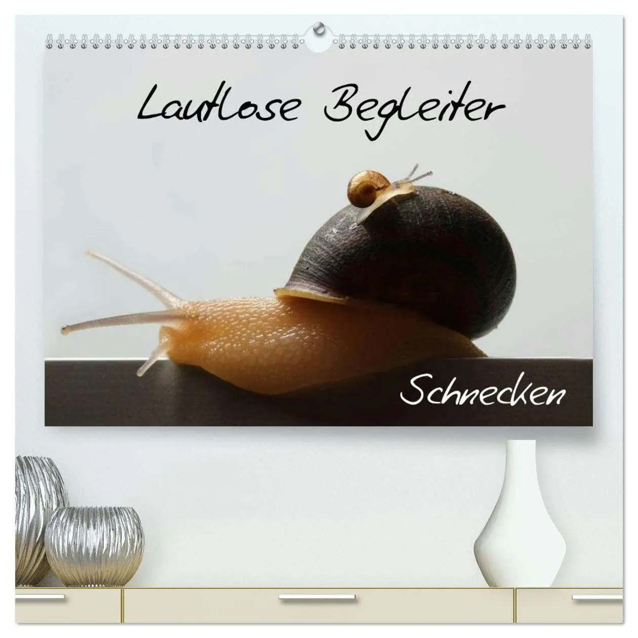 Cover: 9783516131819 | Lautlose Begleiter - Schnecken (hochwertiger Premium Wandkalender...