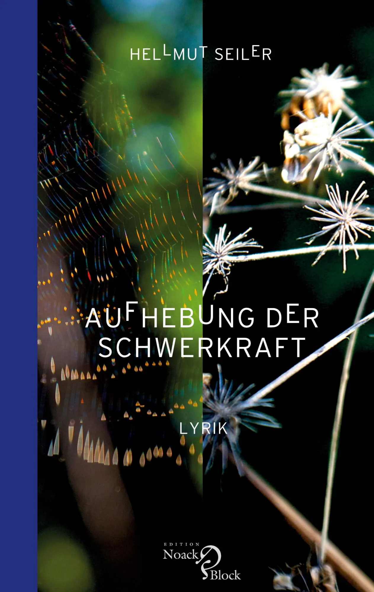 Cover: 9783868131819 | Aufhebung der Schwerkraft | Lyrik | Hellmut Seiler | Taschenbuch