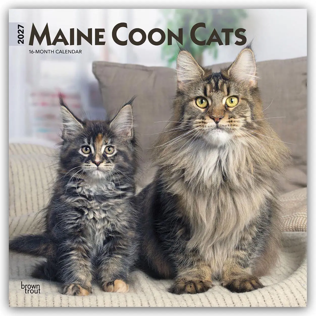 Cover: 9798330711819 | Maine Coon Cats - Maine Coon Katzen 2027 - 16-Monatskalender | 28 S.