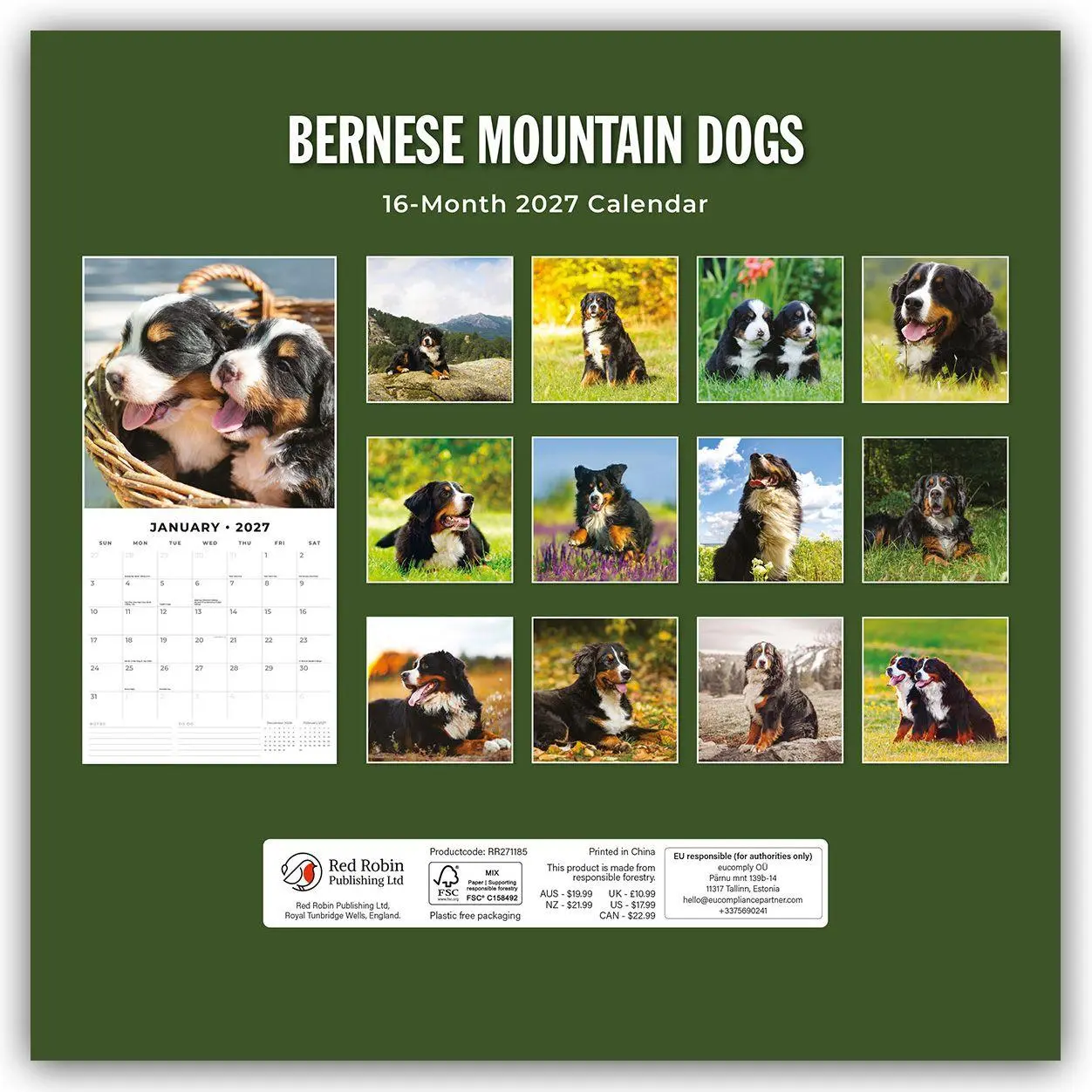 Rückseite: 9781837011919 | Bernese Mountain Dog - Berner Sennenhund 2027 - 16-Monatskalender