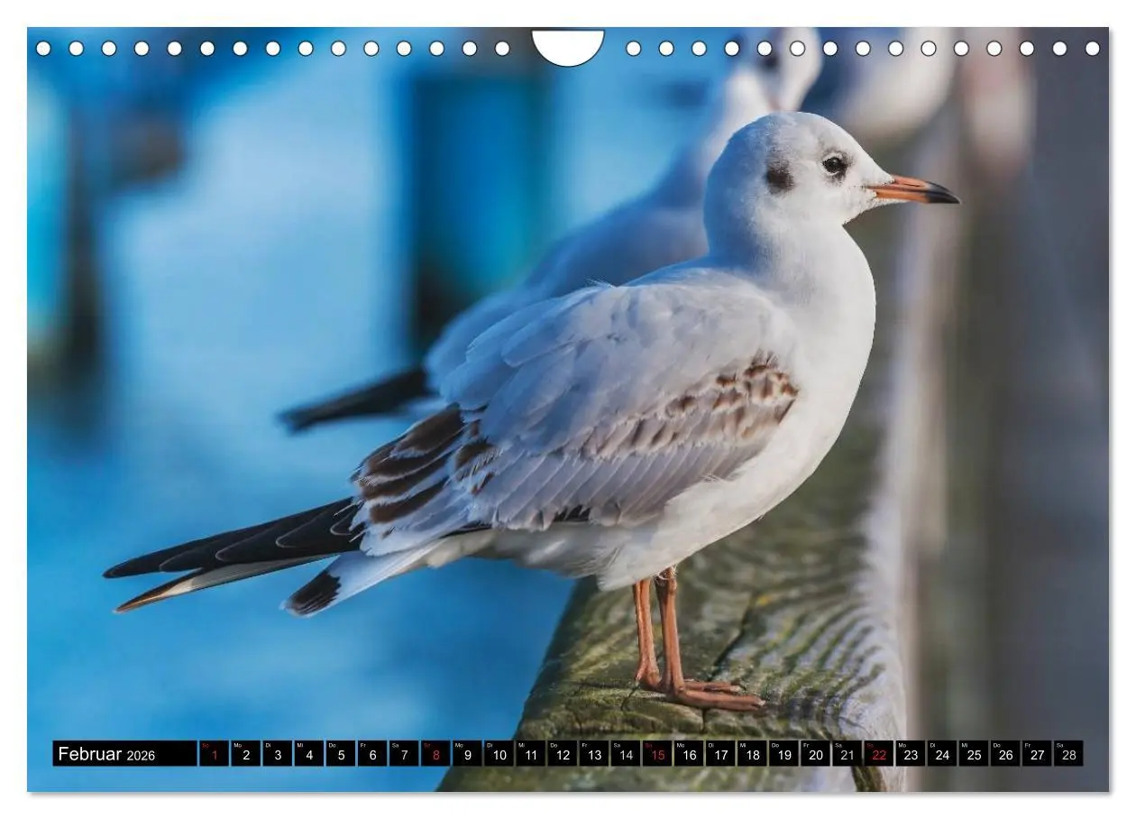 Bild: 9783457961919 | Ein Wochenende im Ostseebad Binz (Wandkalender 2026 DIN A4 quer),...