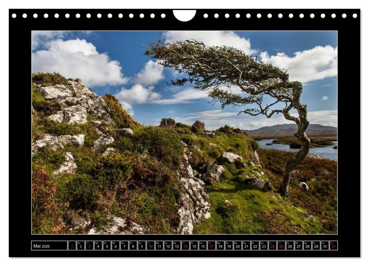 Bild: 9783516121919 | Connemara - Irlands wilder Westen (Wandkalender 2026 DIN A4 quer),...