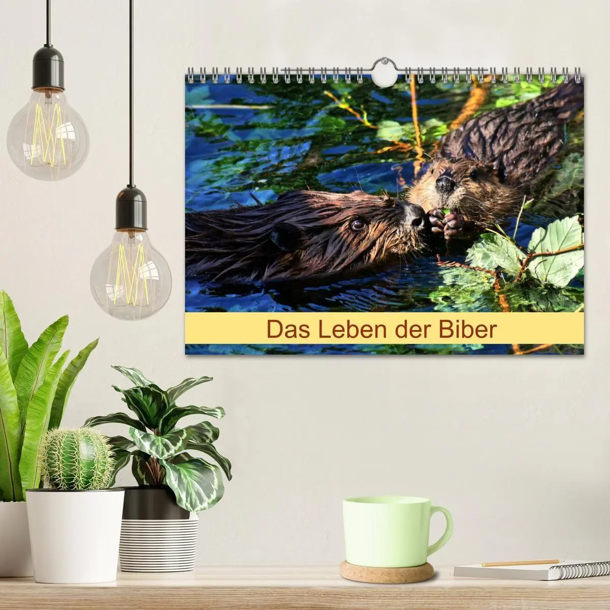 Bild: 9783569831919 | Das Leben der Biber (Wandkalender 2027 DIN A4 quer), CALVENDO...