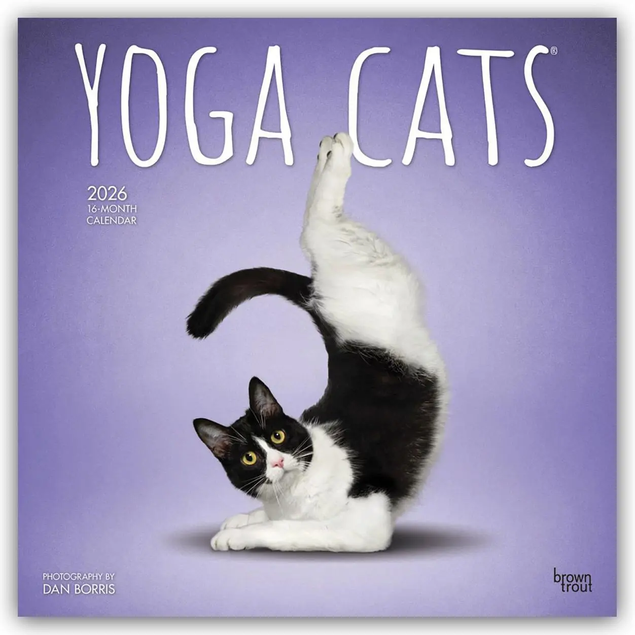 Cover: 9798330701919 | Yoga Cats Official 2026 12 X 24 Inch (Hanging) Monthly Square Wall...