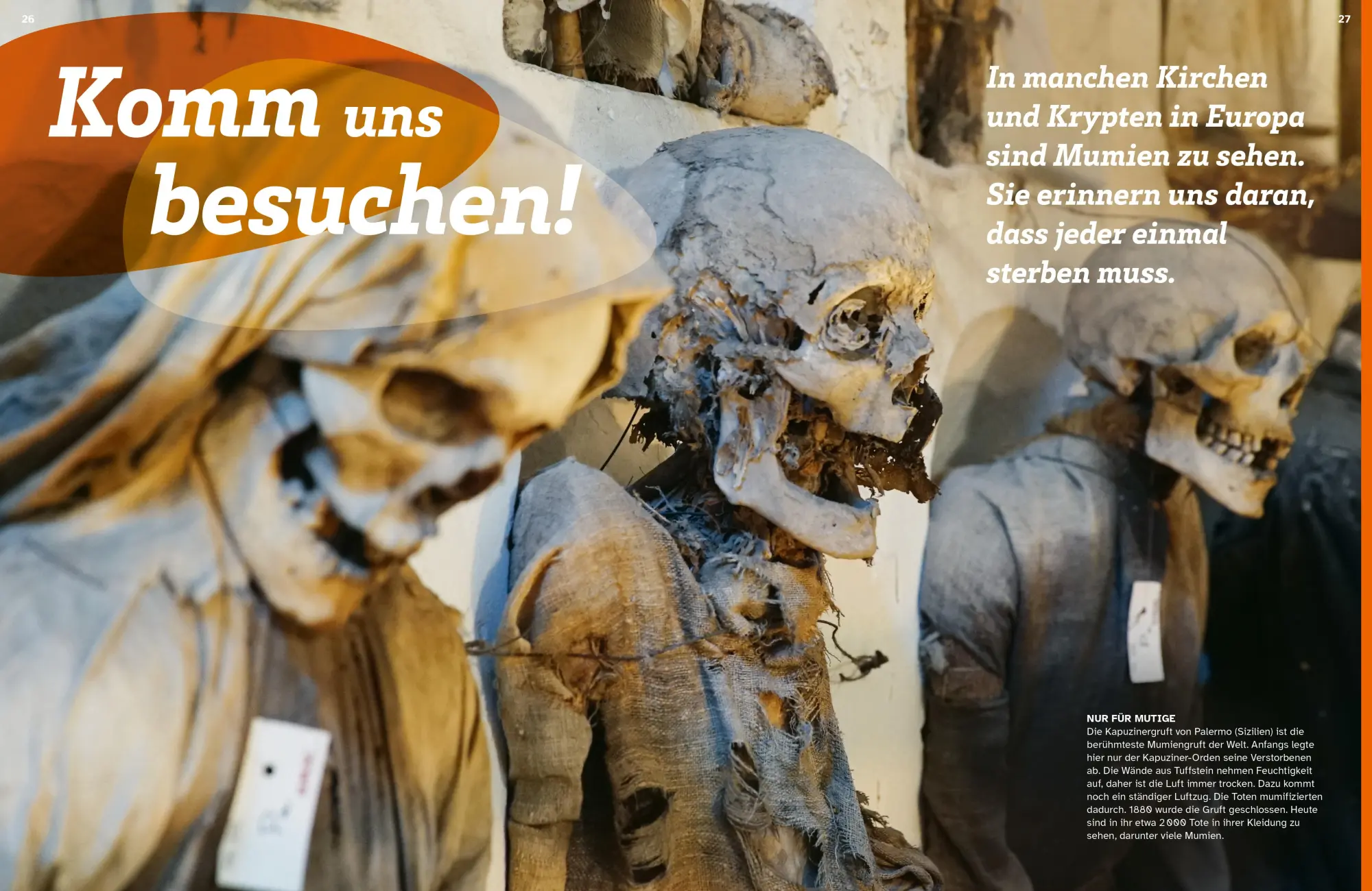 Bild: 9783788682019 | WAS IST WAS Mumien und Moorleichen. Was sie uns erzählen | Wetzel