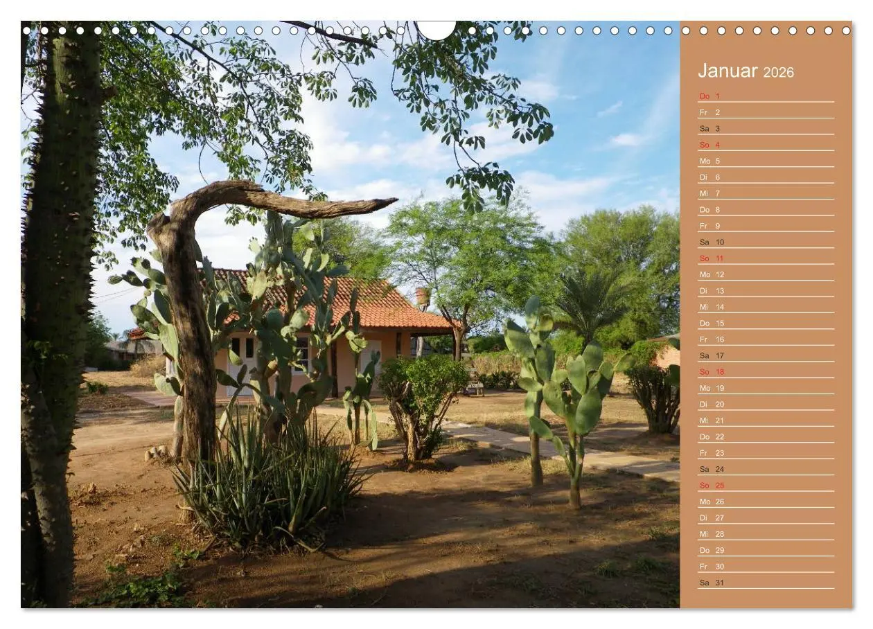Bild: 9783516172119 | Bilder aus dem Chaco in Paraguay (Wandkalender 2026 DIN A3 quer),...