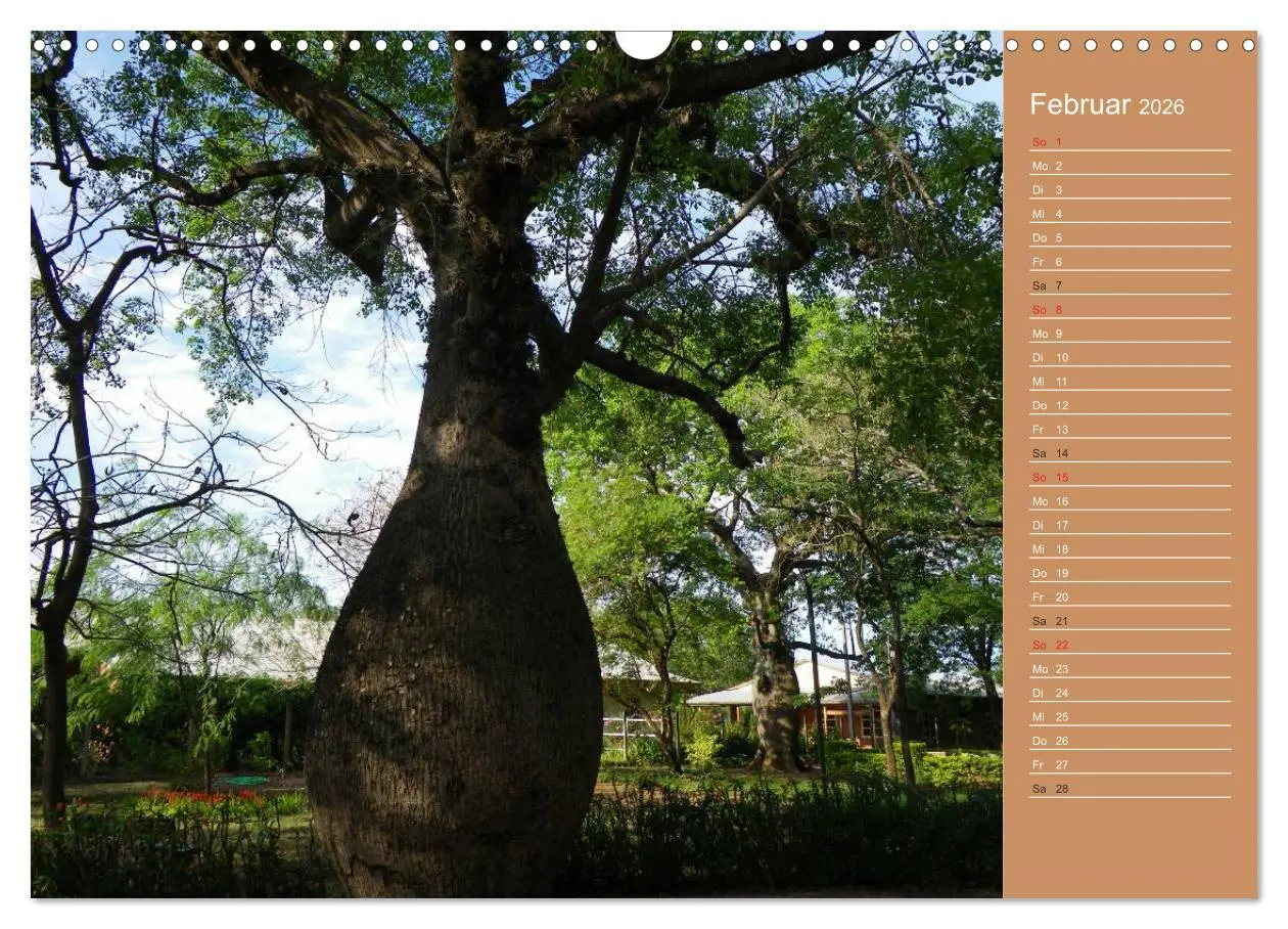 Bild: 9783516172119 | Bilder aus dem Chaco in Paraguay (Wandkalender 2026 DIN A3 quer),...