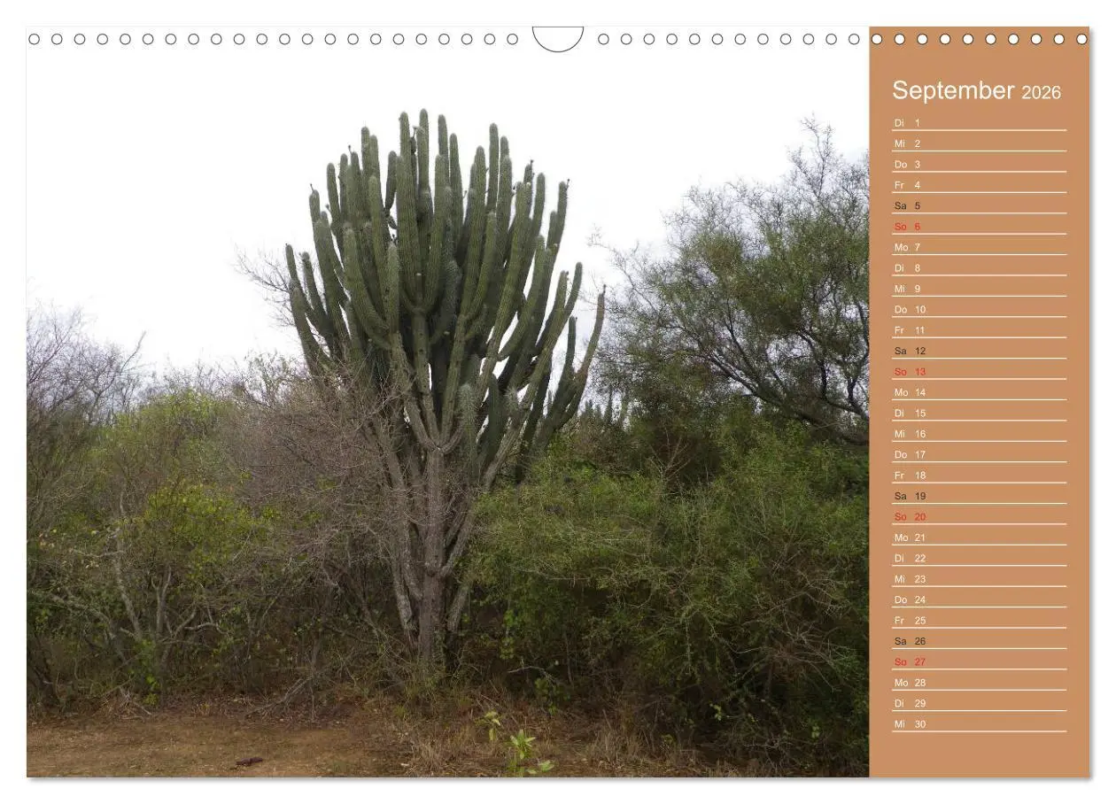Bild: 9783516172119 | Bilder aus dem Chaco in Paraguay (Wandkalender 2026 DIN A3 quer),...