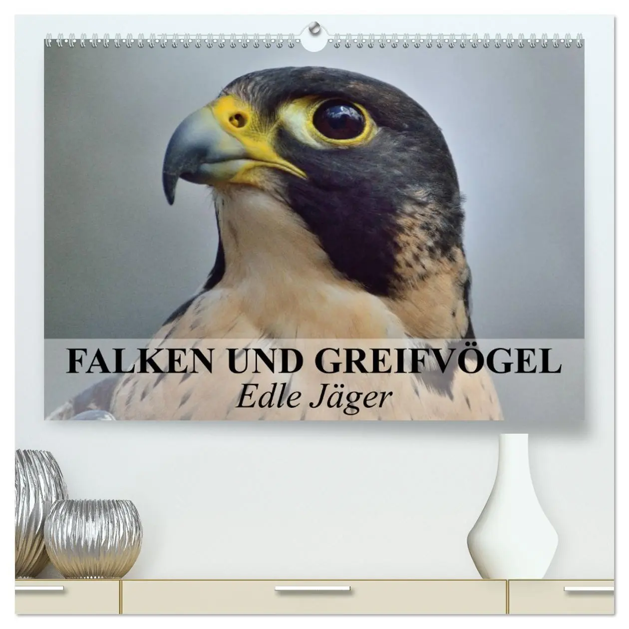 Cover: 9783516092219 | Falken und Greifvögel. Edle Jäger (hochwertiger Premium...