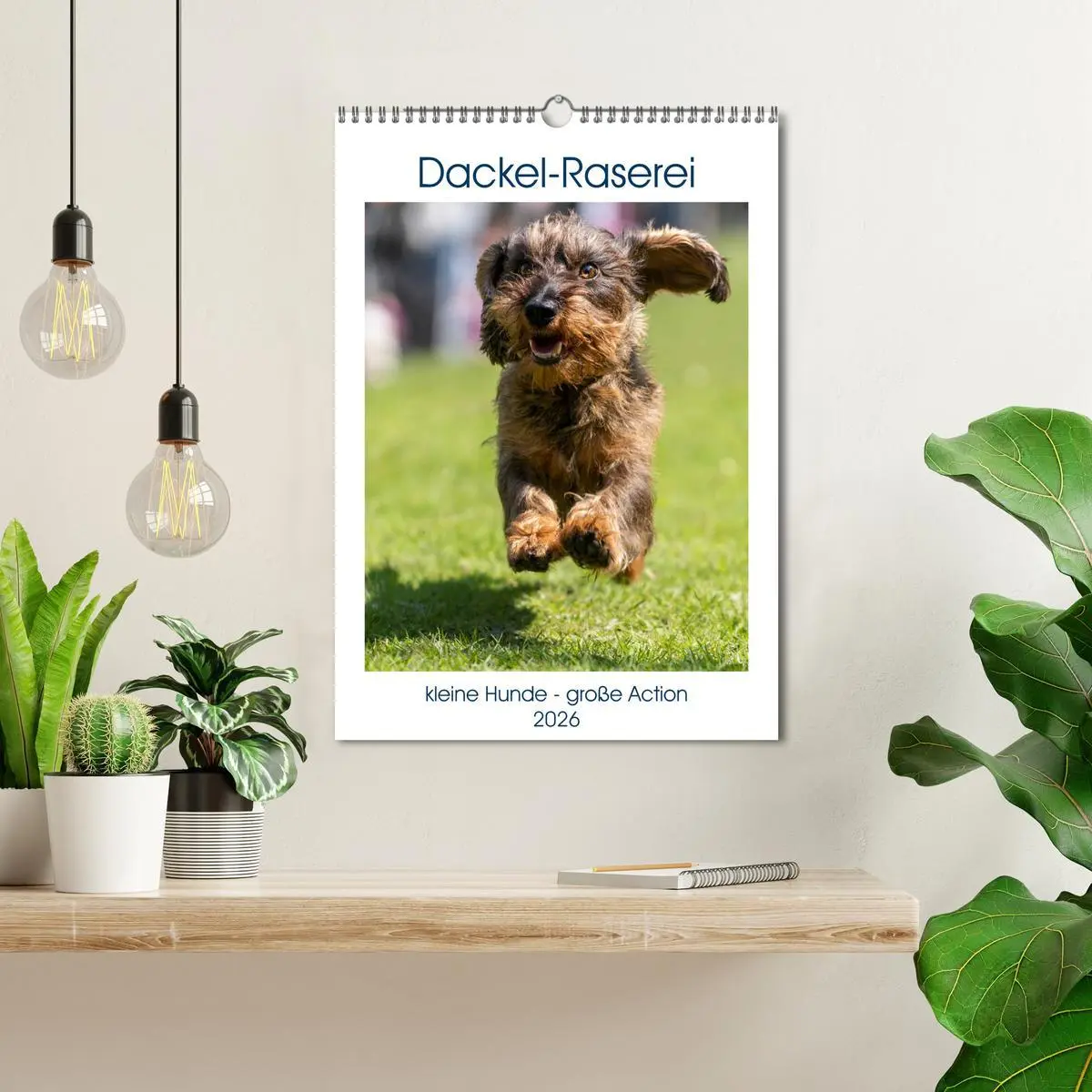 Bild: 9783516392319 | Dackel-Raserei (Wandkalender 2026 DIN A3 hoch), CALVENDO...