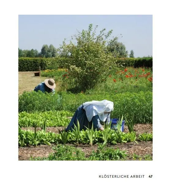 Bild: 9783898092319 | Dem Himmel ein Ort | Ruth Lazar OSB | Buch | 80 S. | Deutsch | 2023