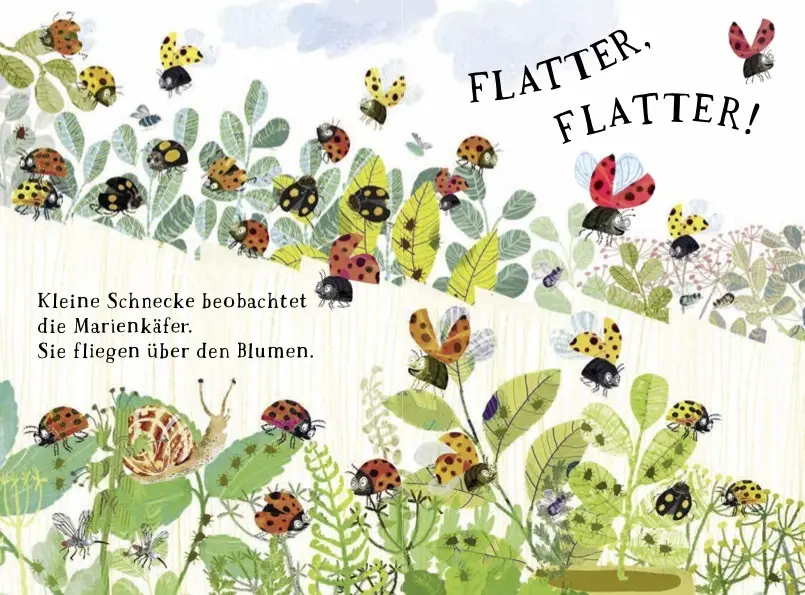 Rückseite: 9783039342419 | Kleine Schnecke und der Garten | Yuval Zommer | Buch | 24 S. | Deutsch