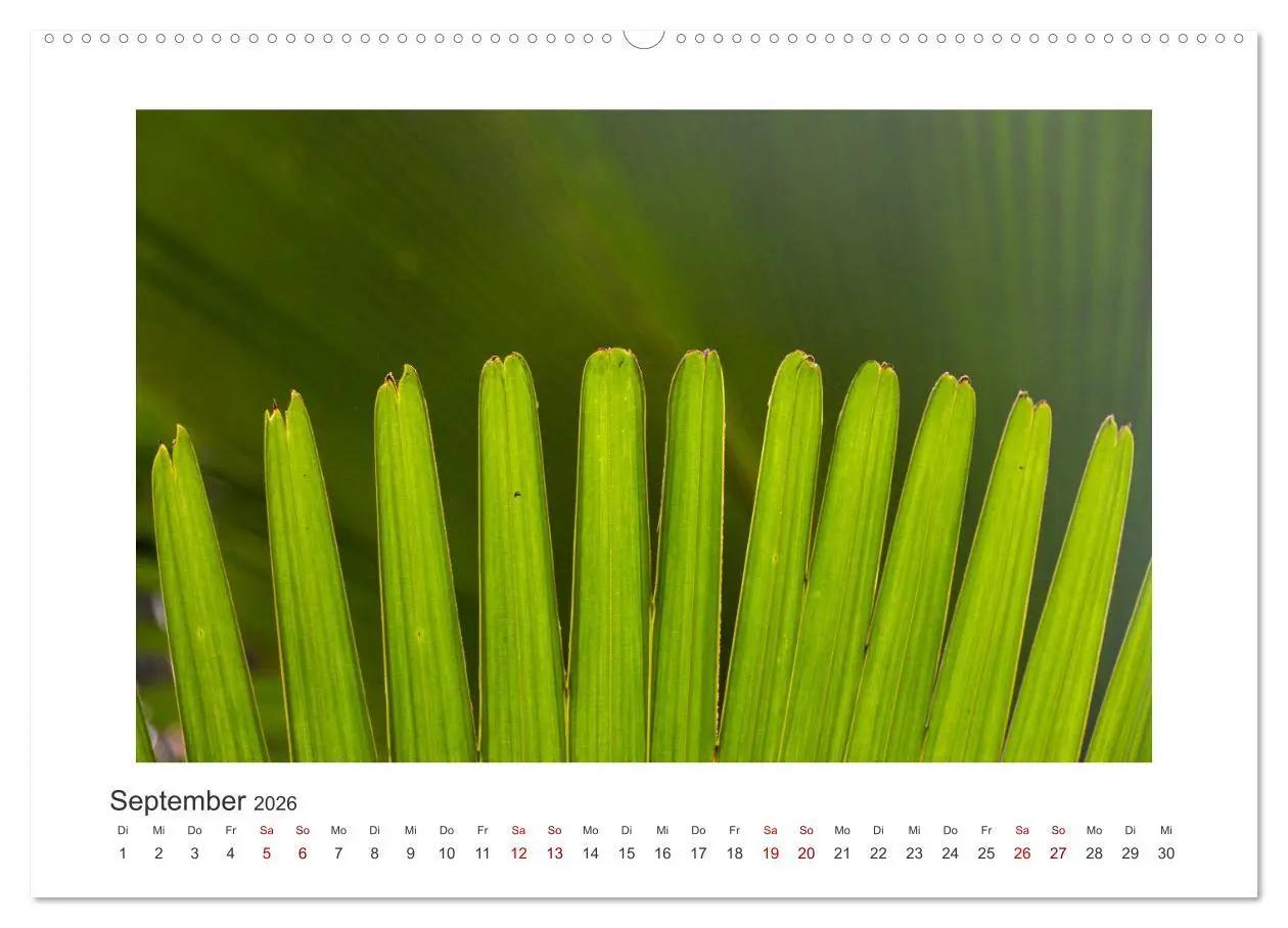 Bild: 9783457352519 | Seychellen - unterwegs mit Julia Hahn (Wandkalender 2026 DIN A2...