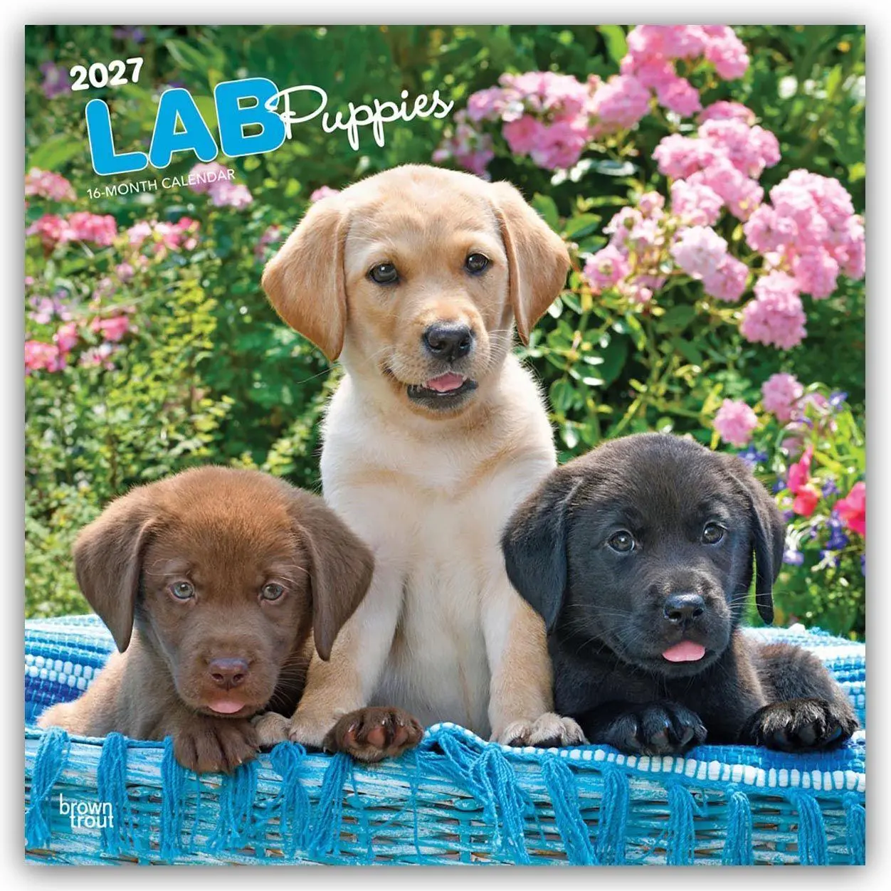 Cover: 9798330712519 | Labrador Retriever Puppies - Labrador Retriever Welpen 2027 -...