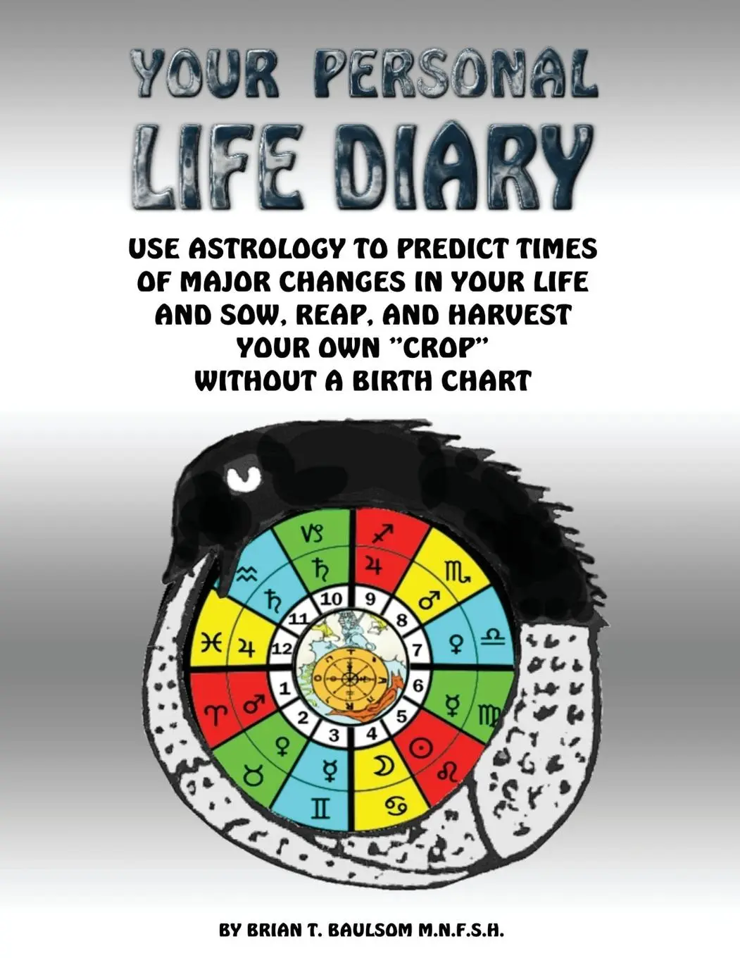 Cover: 9780993092619 | Your Personal Life Diary | Brian T. Baulsom Mnfsh | Taschenbuch | 2015