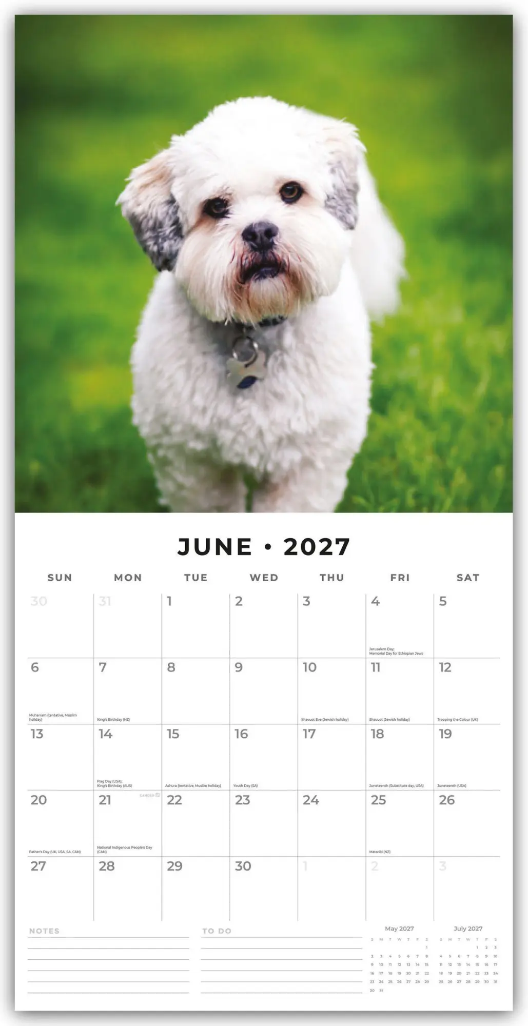 Bild: 9781837012619 | Lhasa Apsos - Lhasa Apso 2027 - 16-Monatskalender | Robin Red | 28 S.