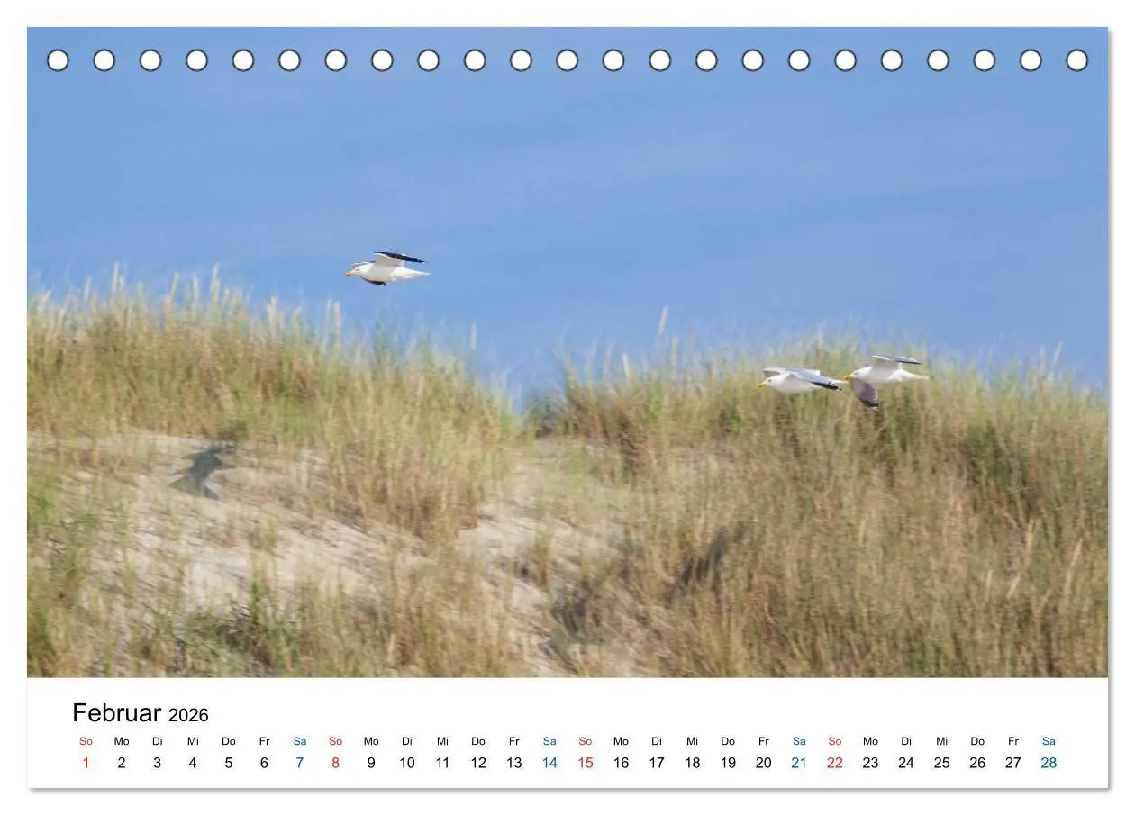 Bild: 9783516122619 | Seeland - Impressionen aus dem Südwesten der Niederlande...