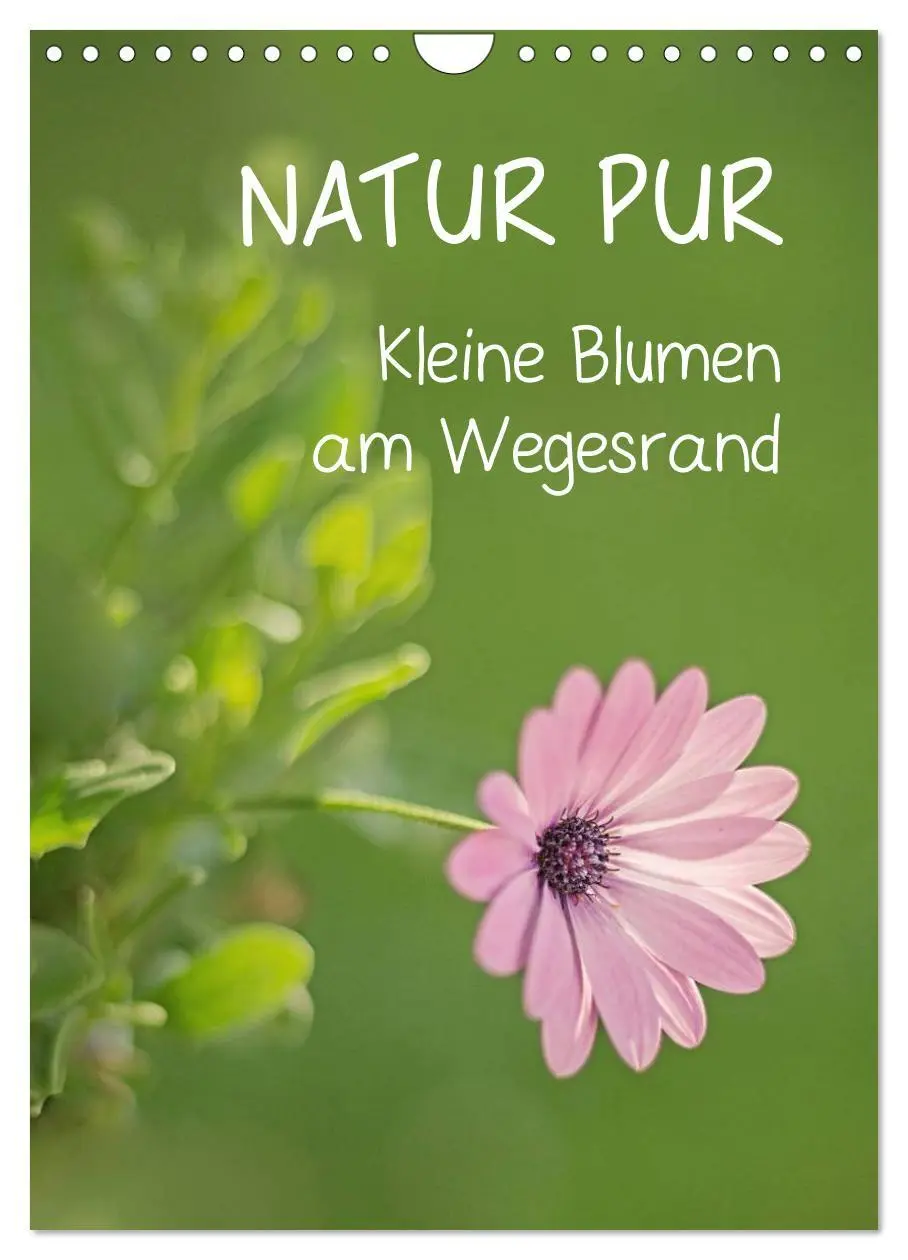 Cover: 9783516432619 | NATUR PUR Kleine Blumen am Wegesrand (Wandkalender 2026 DIN A4...