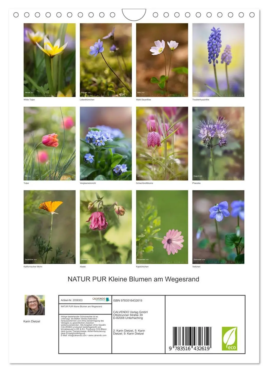 Bild: 9783516432619 | NATUR PUR Kleine Blumen am Wegesrand (Wandkalender 2026 DIN A4...