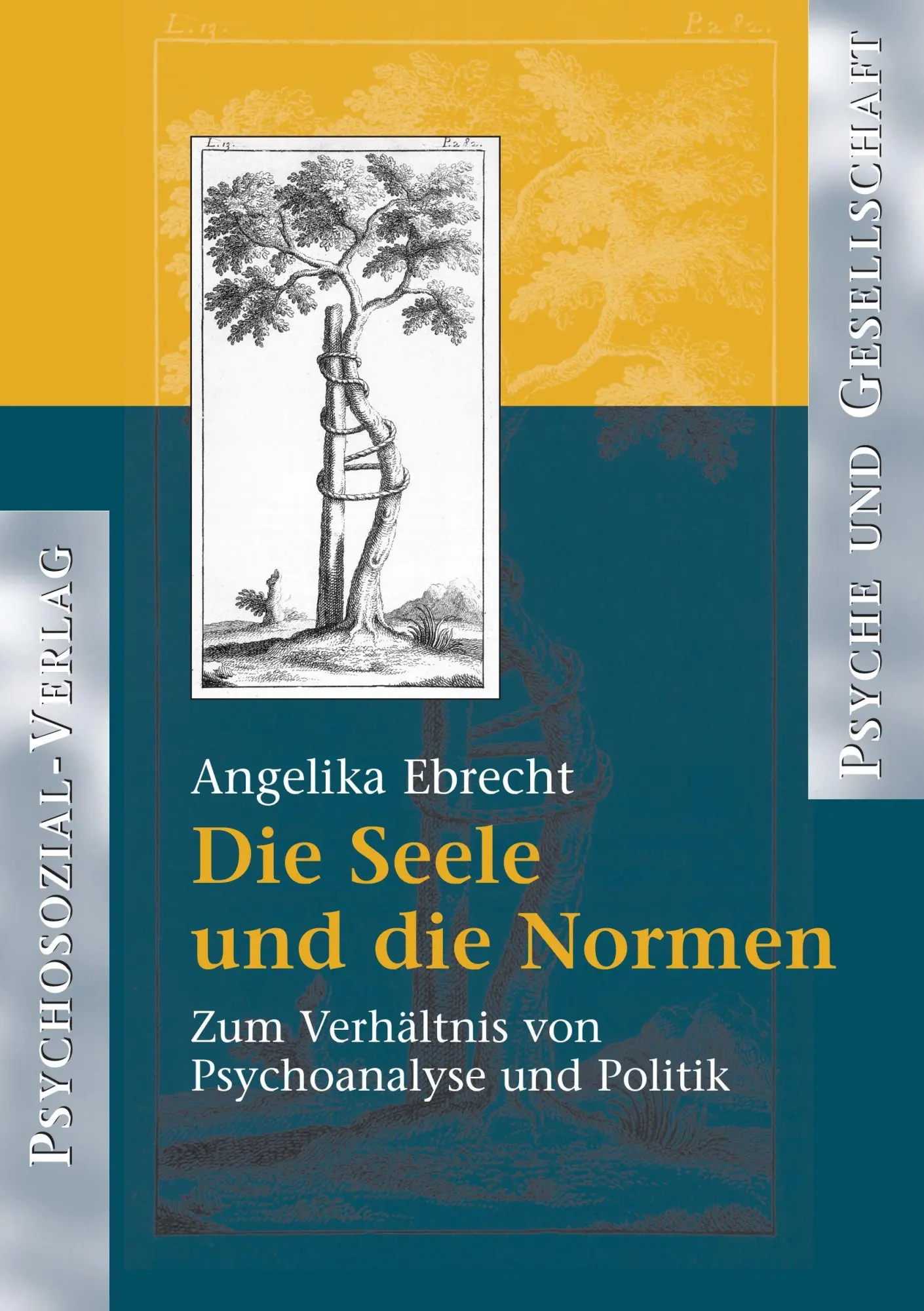Cover: 9783898062619 | Die Seele und die Normen | Angelika Ebrecht-Laermann | Taschenbuch