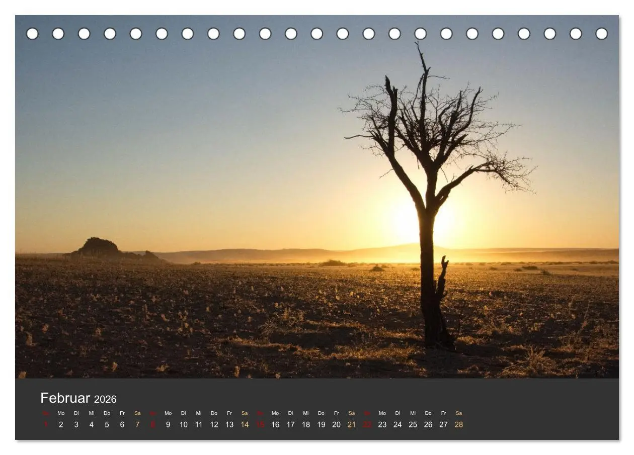 Bild: 9783457572719 | Wüstenbäume (Tischkalender 2026 DIN A5 quer), CALVENDO Monatskalender
