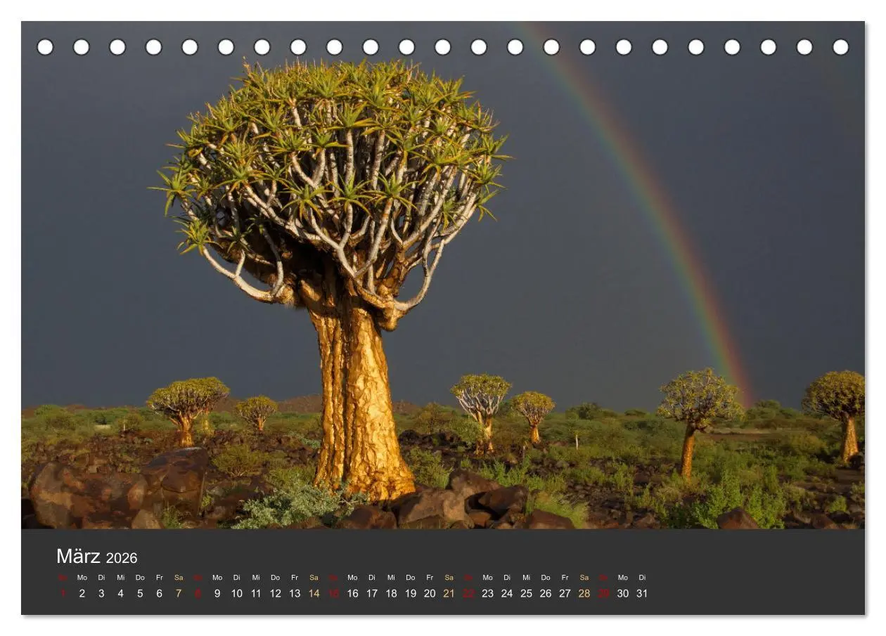 Bild: 9783457572719 | Wüstenbäume (Tischkalender 2026 DIN A5 quer), CALVENDO Monatskalender