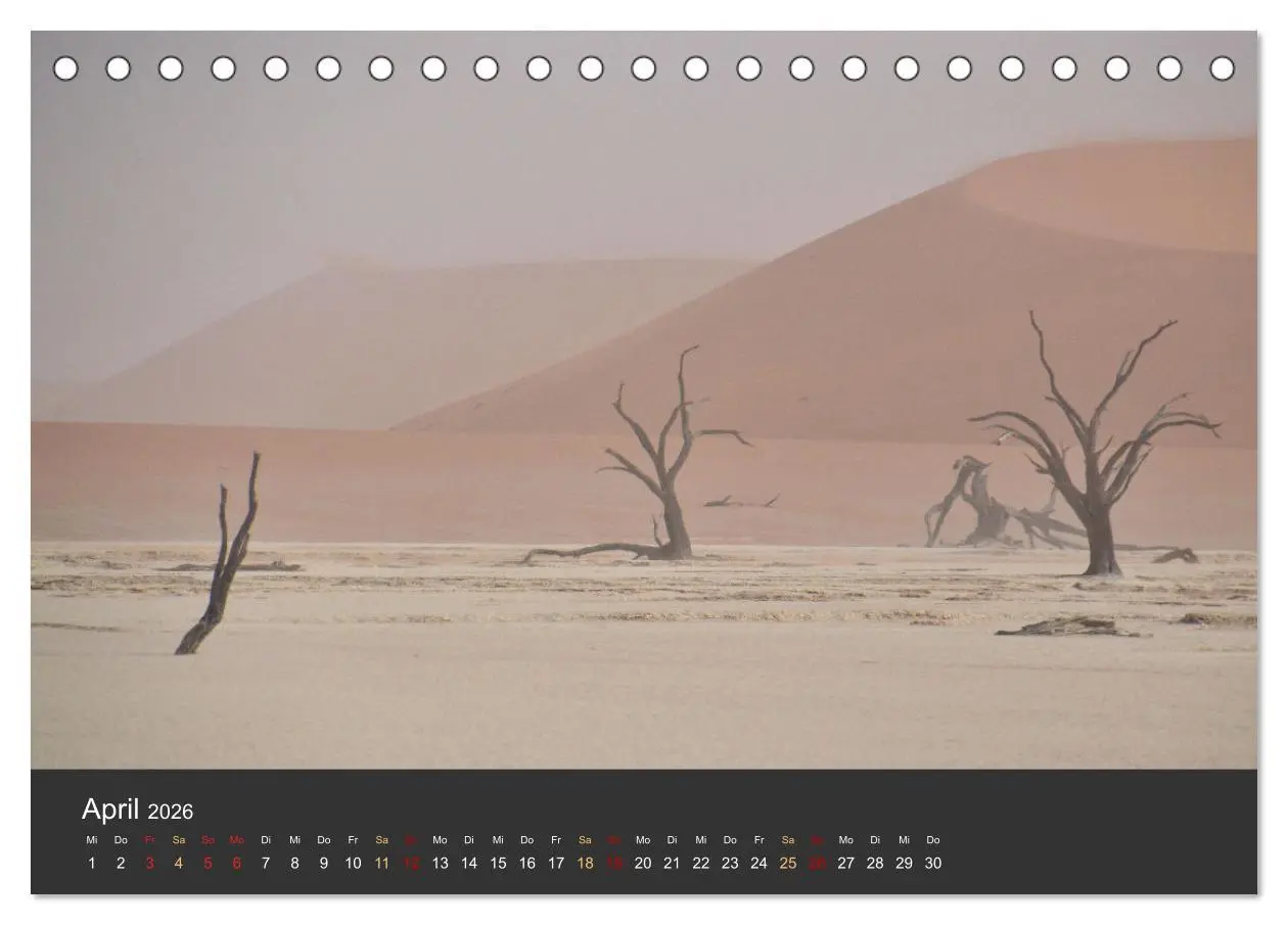 Bild: 9783457572719 | Wüstenbäume (Tischkalender 2026 DIN A5 quer), CALVENDO Monatskalender