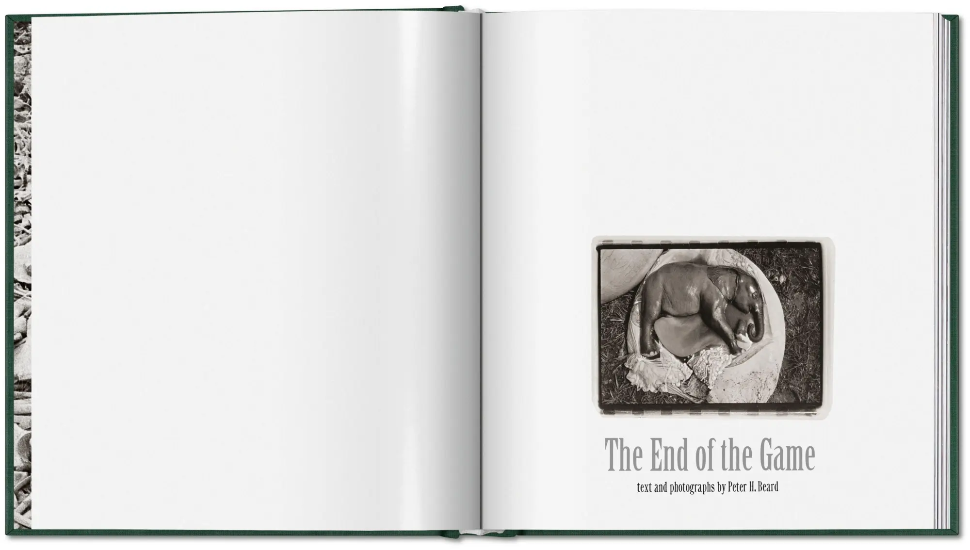 Bild: 9783754402719 | Peter Beard | The End of the Game | Peter Beard | Buch | 304 S. | 2026