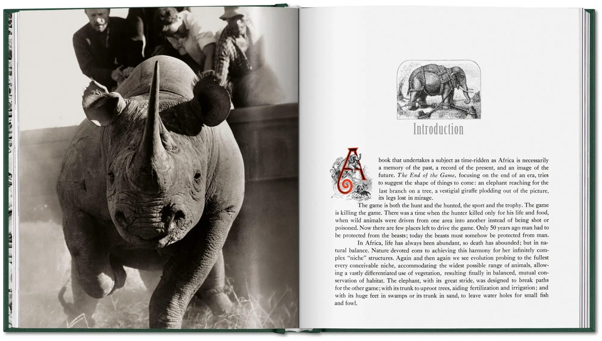 Bild: 9783754402719 | Peter Beard | The End of the Game | Peter Beard | Buch | 304 S. | 2026