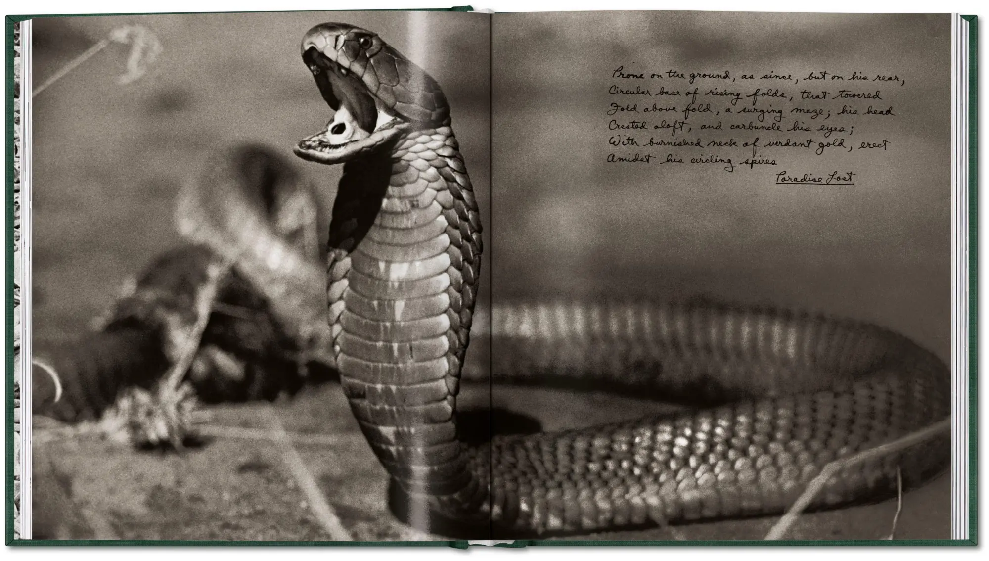 Bild: 9783754402719 | Peter Beard | The End of the Game | Peter Beard | Buch | 304 S. | 2026