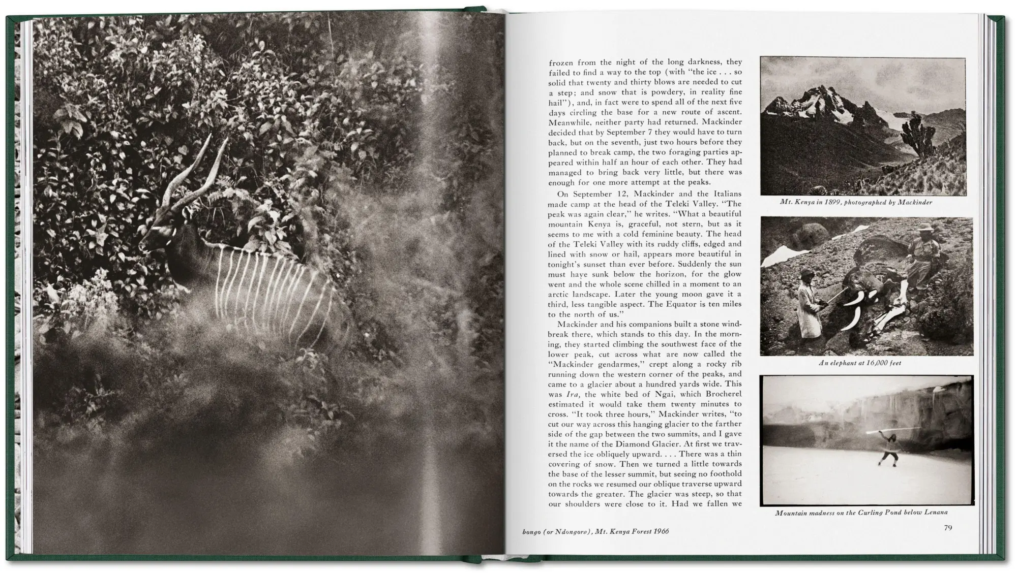 Bild: 9783754402719 | Peter Beard | The End of the Game | Peter Beard | Buch | 304 S. | 2026