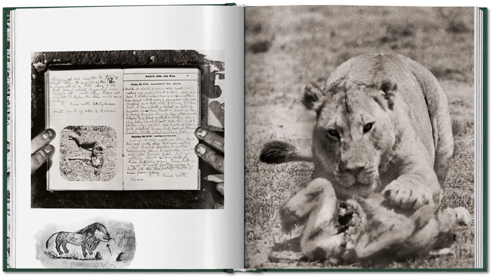 Bild: 9783754402719 | Peter Beard | The End of the Game | Peter Beard | Buch | 304 S. | 2026
