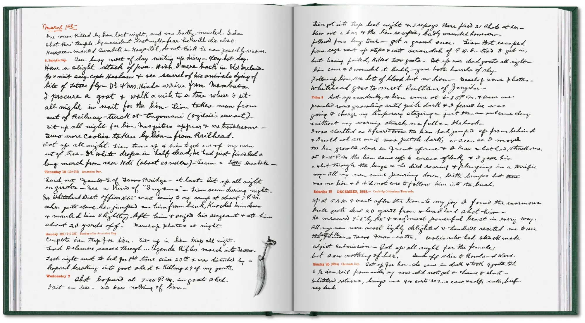 Bild: 9783754402719 | Peter Beard | The End of the Game | Peter Beard | Buch | 304 S. | 2026