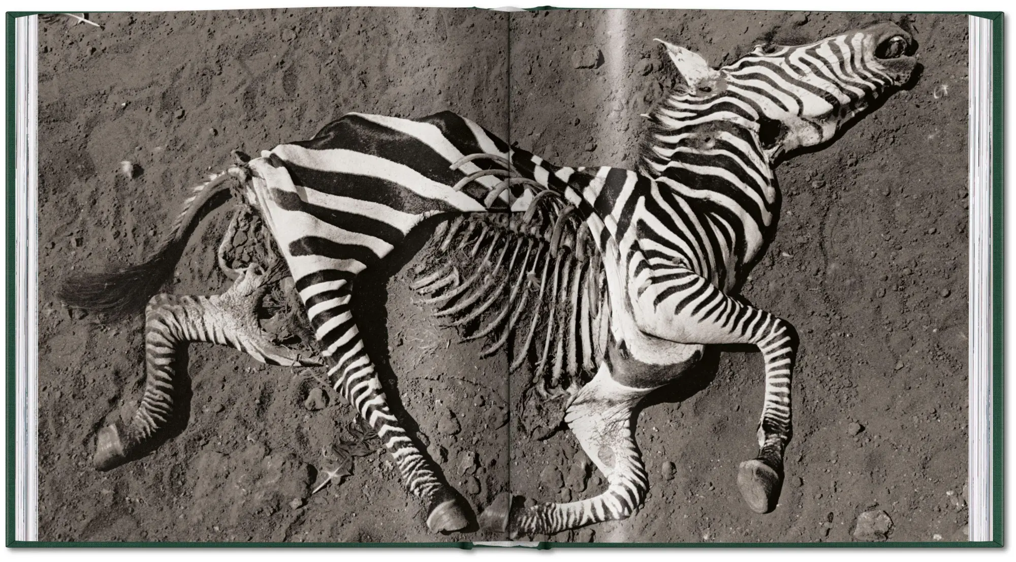 Bild: 9783754402719 | Peter Beard | The End of the Game | Peter Beard | Buch | 304 S. | 2026