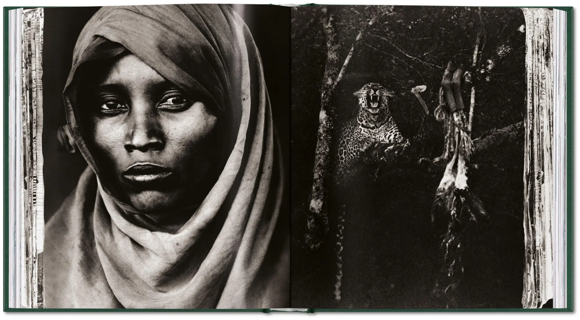 Bild: 9783754402719 | Peter Beard | The End of the Game | Peter Beard | Buch | 304 S. | 2026