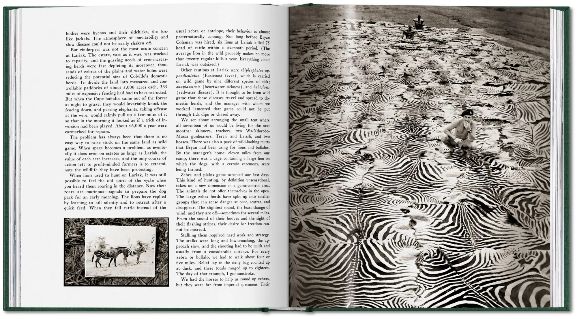 Bild: 9783754402719 | Peter Beard | The End of the Game | Peter Beard | Buch | 304 S. | 2026